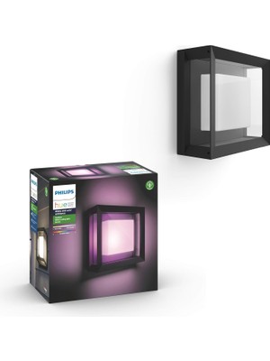 Philips Hue Econic Square Dış Mekan Duvar ve Tavan Işık Armatürü