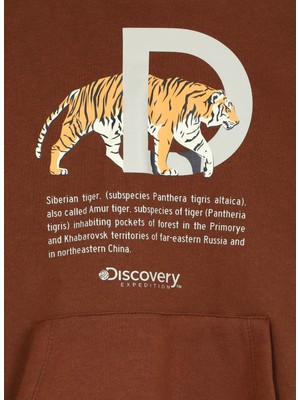 Discovery Expedition Kahve Erkek Çocuk Kapüşonlu Oversize Baskılı Sweatshirt D3WB-SWT23