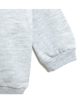 HelloBaby HelloBaby Basic Dinozor Desenli Sweatshirt Erkek Bebek
