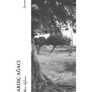 Ardıç Ağacı  - Merve Özdemir