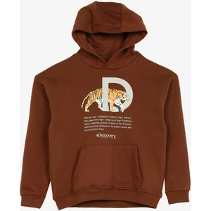 Discovery Expedition Kahve Erkek Çocuk Kapüşonlu Oversize Baskılı Sweatshirt D3WB-SWT23