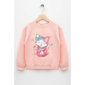 Kız Çocuk Somon Renkli Uzun Kollu Kedi Baskılı Sweatshirt