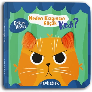 Neden Kızgınsın Küçük Kedi? (Aynalı Dokun Hisset Kitap)