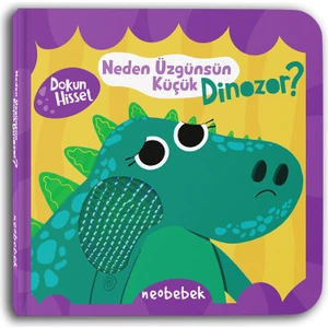 Neden Üzgünsün Küçük Dinozor? (Aynalı Dokun Hisset Kitap)