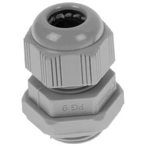 Promex Pg9 Plastik Rekor (5 Adet)