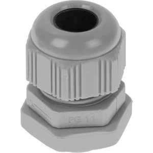 Promex PG11 Plastik Rekor (5 Adet)