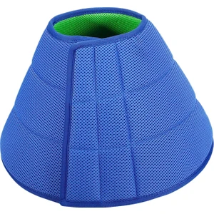 Köpekler Elizabethan Ameliyattan Sonra Iyileşme S (Yurt Dışından)