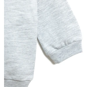 HelloBaby Basic Dinozor Desenli Sweatshirt Erkek Bebek