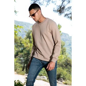 Pamuklu Regular Fit Bisiklet Yaka Sweat Erkek Sweat 5905453