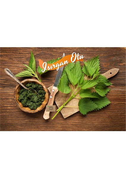 Öğütülmüş Isırgan Otu 50 gr modelleri