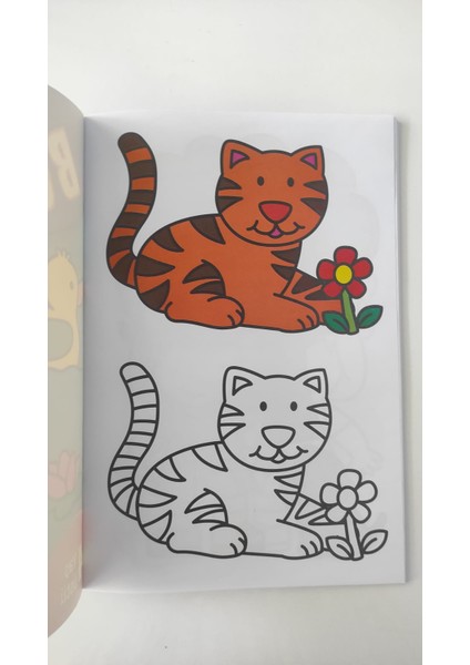 4 Yaş Üstü - Mavi Kitap - Cuberdon Books fiyatları