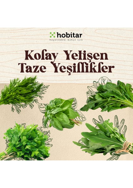 Hobitar Kolay Yetişen Yaze Yeşillikler Sebze Tohumu Paketi - 5 Çeşit Aromatik Tohumu