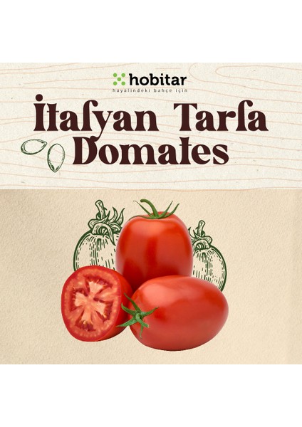 Hobitar Italyan Tarla Domates Tohumu