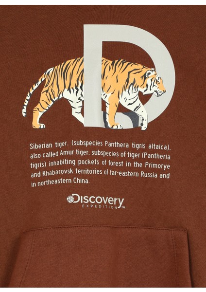 Discovery Expedition Kahve Erkek Çocuk Kapüşonlu Oversize Baskılı Sweatshirt D3WB-SWT23