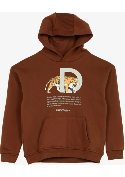 Discovery Expedition Kahve Erkek Çocuk Kapüşonlu Oversize Baskılı Sweatshirt D3WB-SWT23