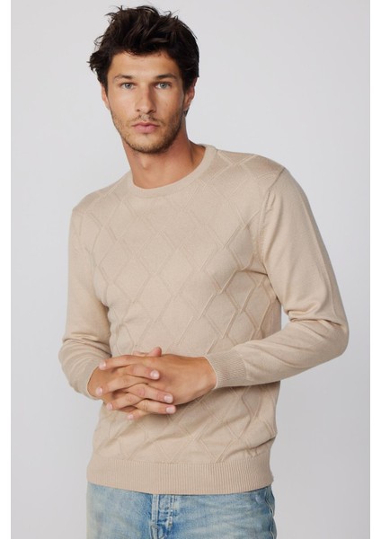 Slim Fit Bisiklet Yaka Desenli Taş Erkek Kazak modelleri