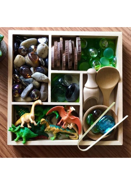 Montessori Duyusal Kutu Aletler Oyuncaklar Ince Motor Becerileri Oyuncakları Doğum Günü Hediyeleri Tepsisi Için (Yurt Dışından) modelleri
