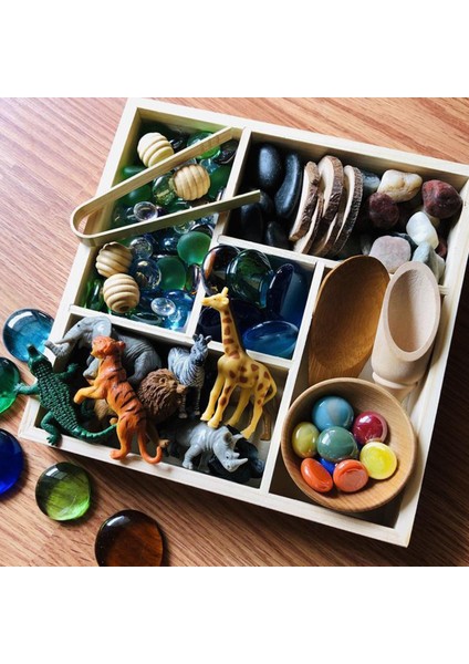 Montessori Duyusal Kutu Aletler Oyuncaklar Ince Motor Becerileri Oyuncakları Doğum Günü Hediyeleri Tepsisi Için (Yurt Dışından) fırsatları