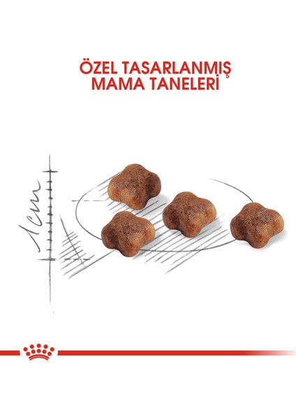 Babycat Yavru Kedi Maması - 2 kg