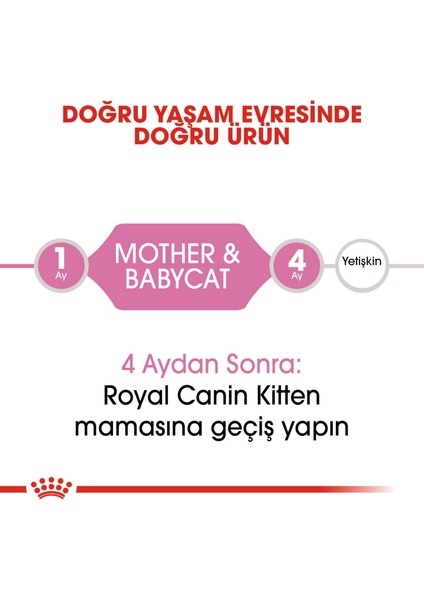 Babycat Yavru Kedi Maması - 2 kg