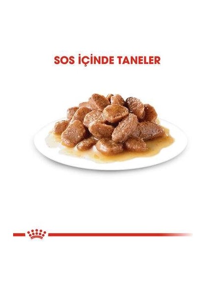 Pouch Gravy Instinctive Yaş Kedi Maması 85 gr