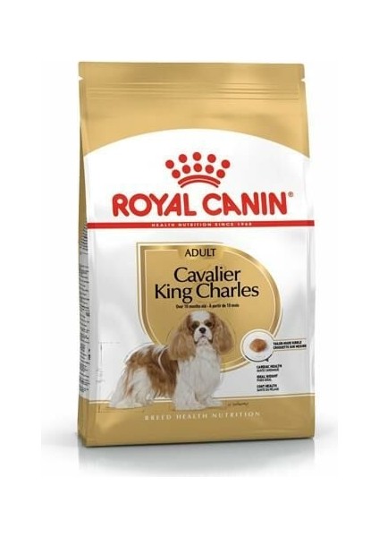 Cavalier King Charles Yetişkin Köpek Maması 3 kg