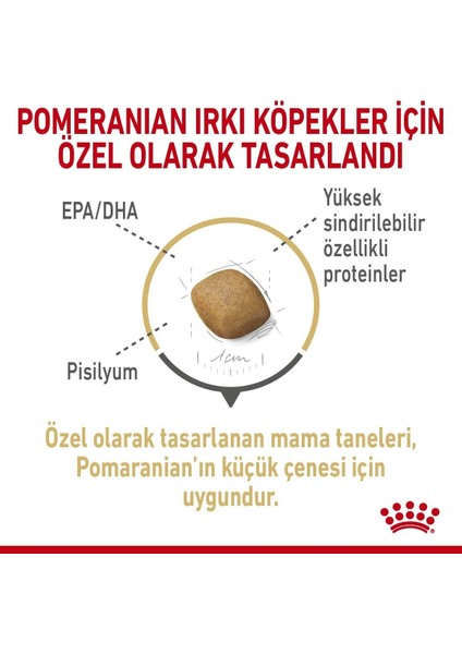 Pomeranian Yetişkin Köpek Irk Maması 1.5 kg