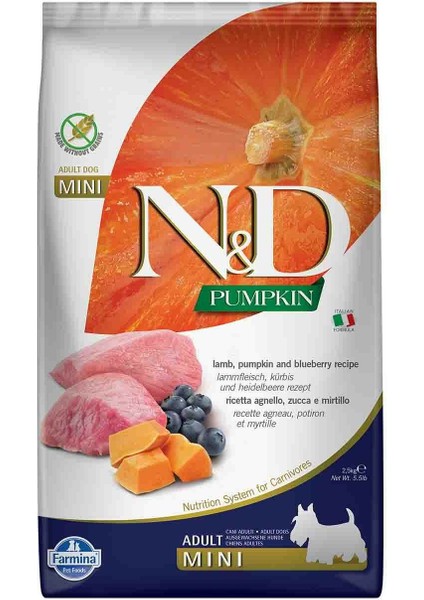 Pumpkin Tahılsız Bal Kabaklı Kuzu Etli Yaban Mersinli Küçük Irk Yetişkin Köpek Maması 2.5 kg