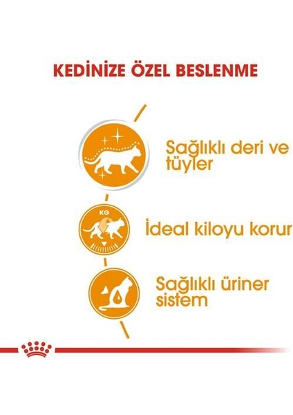 Intense Beauty Kedi Konservesi 85 Gr.