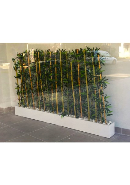 Yapay Bambu Ağacı Seti 1.50 mt Boy Bamboo Çubuk Çiçek 2 Adet 75 cm Ahşap Beyaz Iç Mekan Saksıda