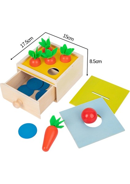 Montessori Malzeme Nesne Olumsuzluk Kutusu Ahşap Oyuncak Tepsisi ve Top 3 (Yurt Dışından)