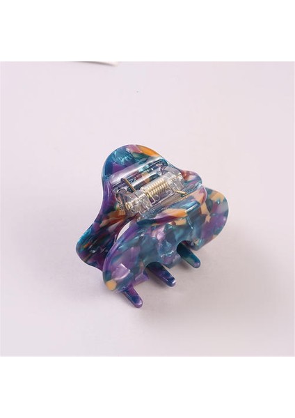 Asetik Asit Plaka Saç Klipsi, Klasik Düşük Anahtar Lüks Tatlı Saç Klips (Yurt Dışından) fiyatları