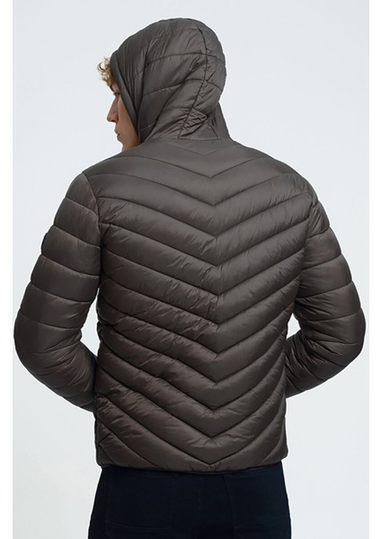 Erkek Mont LF2033231 LF2033231001 fiyatları