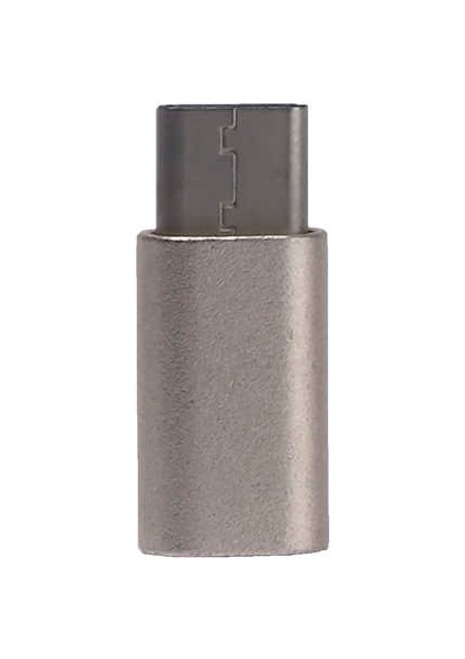 Zore Metal 01 Type-C Dönüştürücü