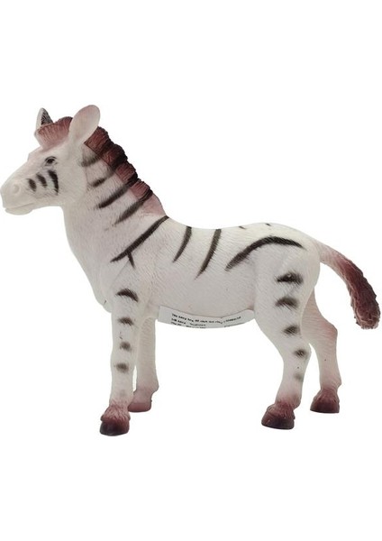 Vahşi Hayvanlar Serisi -Zebra