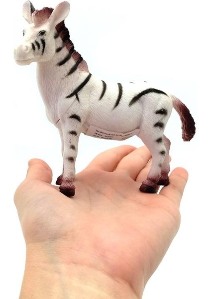 Vahşi Hayvanlar Serisi -Zebra fırsatları