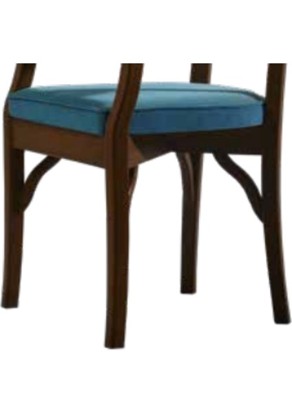 Sandalye Zus170 Ahşap Sırtlık Model Kayın Retro Ayak Ceviz Renk Turkuaz Baby Face Kumaş El Yapım modelleri