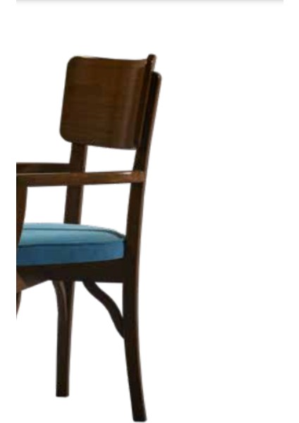 Sandalye Zus170 Ahşap Sırtlık Model Kayın Retro Ayak Ceviz Renk Turkuaz Baby Face Kumaş El Yapım fırsatları