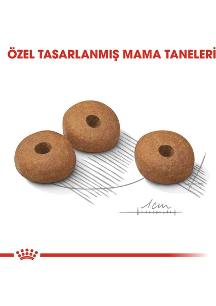 Light Weight Care Yetişkin Kedi Maması 1.5 kg fiyatları