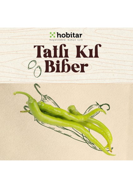 Hobitar Tatlı Kıl Biber Tohumu