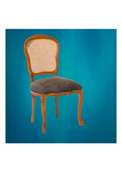 Sandalye ST 14201 Zus505-024 HASIR SIRT Model AVANGART Aslan ayak Anrasit El Yapı fırsatları