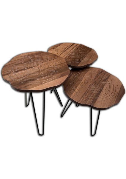 Zigon Osm Papatya Sehpa Parlak Kütük Desen Metal Transmisyon Çelik V Ayak Elyapım modelleri