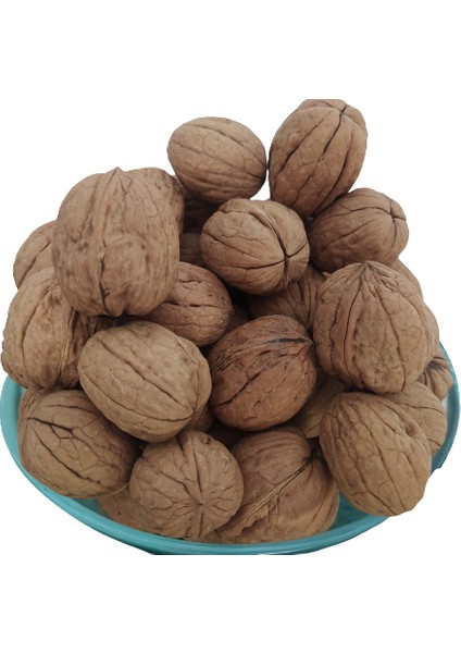 Ceviz Bahçemizded Ince Kabuk Kolayca Kırılır Chandler Doğal Üretim 2 kg fiyatları