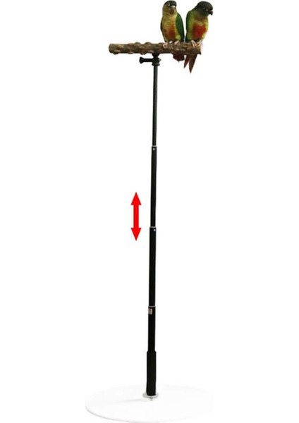 Ahşap T Standı Finch Conures Için Papağan Eğ Ahır Kuş (Yurt Dışından) fırsatları