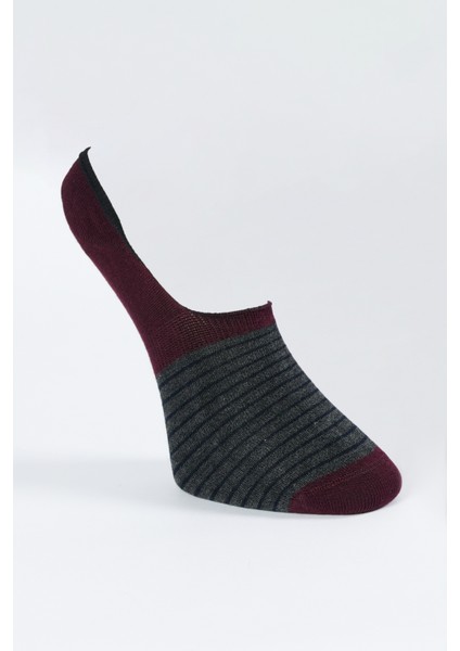 ALTINYILDIZ CLASSICS Erkek Antrasit-Bordo Desenli Tekli Babet Çorap