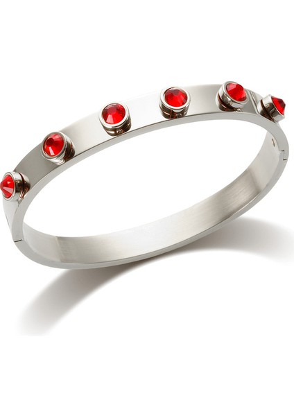 Gümüş Kırmızı Jınhuı Renkli Bejeweled Bilezik Popülerlik T S Paslanmaz Çelik Bileklik Kadınlar Için 12 Birthstones Gökkuşağı Kristal Zincir Takı (Yurt Dışından)