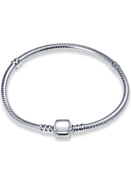 CMB060 -17 Sıcak Satış Klasik Serisi 100% 925 Gümüş Renk Kalp Bilezik Fit Orijinal Boncuk Charms Dıy Takı Kolye Boncuk Kadınlar Için Hediye (Yurt Dışından)