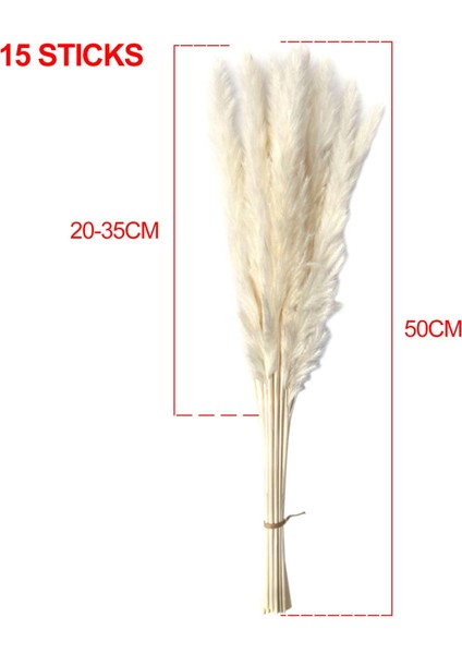 Kurutulmuş Pampas Çim Buket Kamış Çiçek Aranjmanı Boho 15 (Yurt Dışından) indirimleri