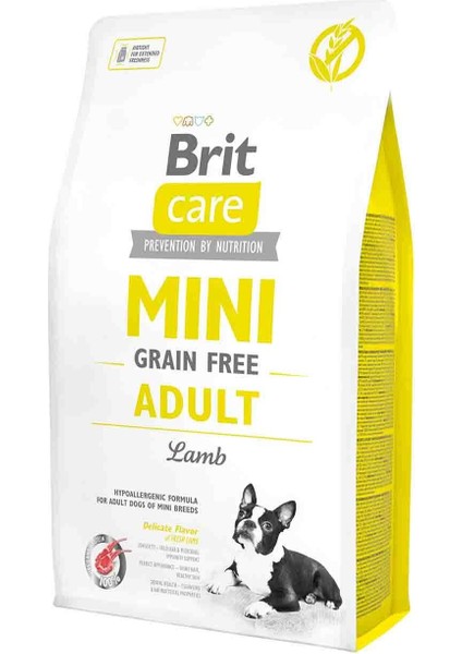 Mini Tahılsız Kuzu Etli Küçük Irk Yetişkin Köpek Maması 2 kg