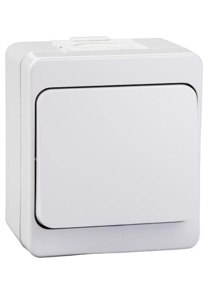 Schneıder - Nemliyer Vavien